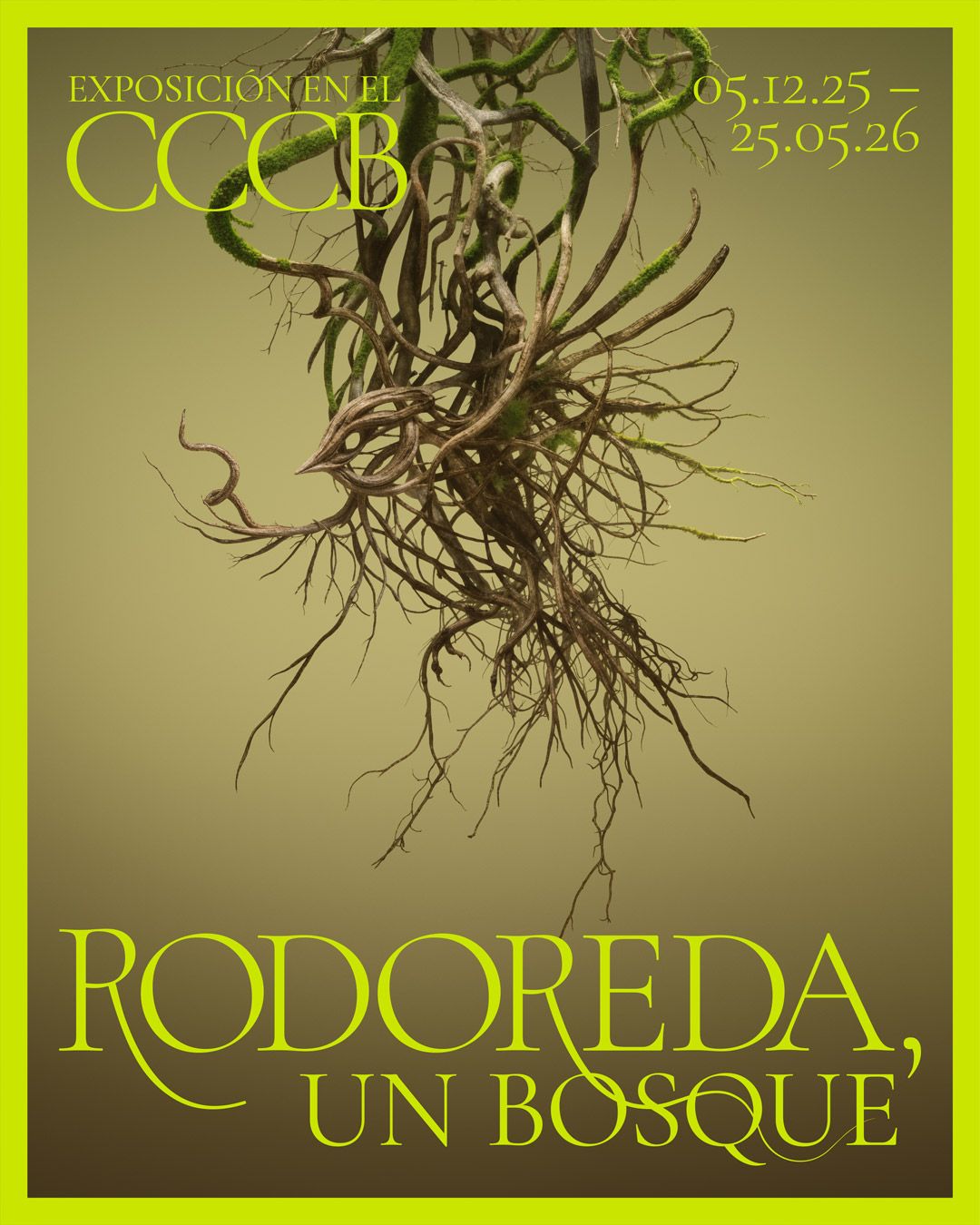 Rodoreda, un bosc (Editorial) · Toni Riera
