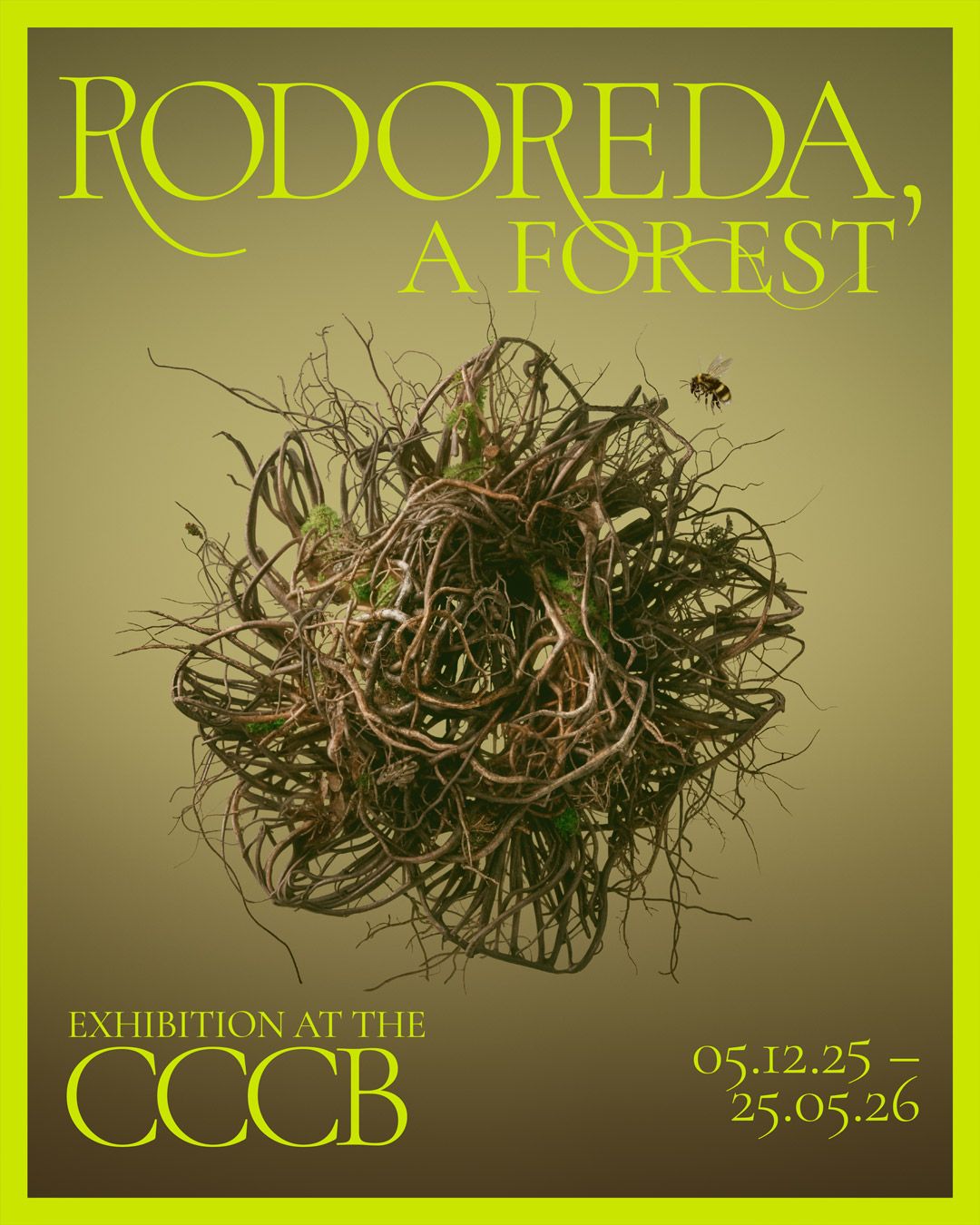 Rodoreda, un bosc (Editorial) · Toni Riera