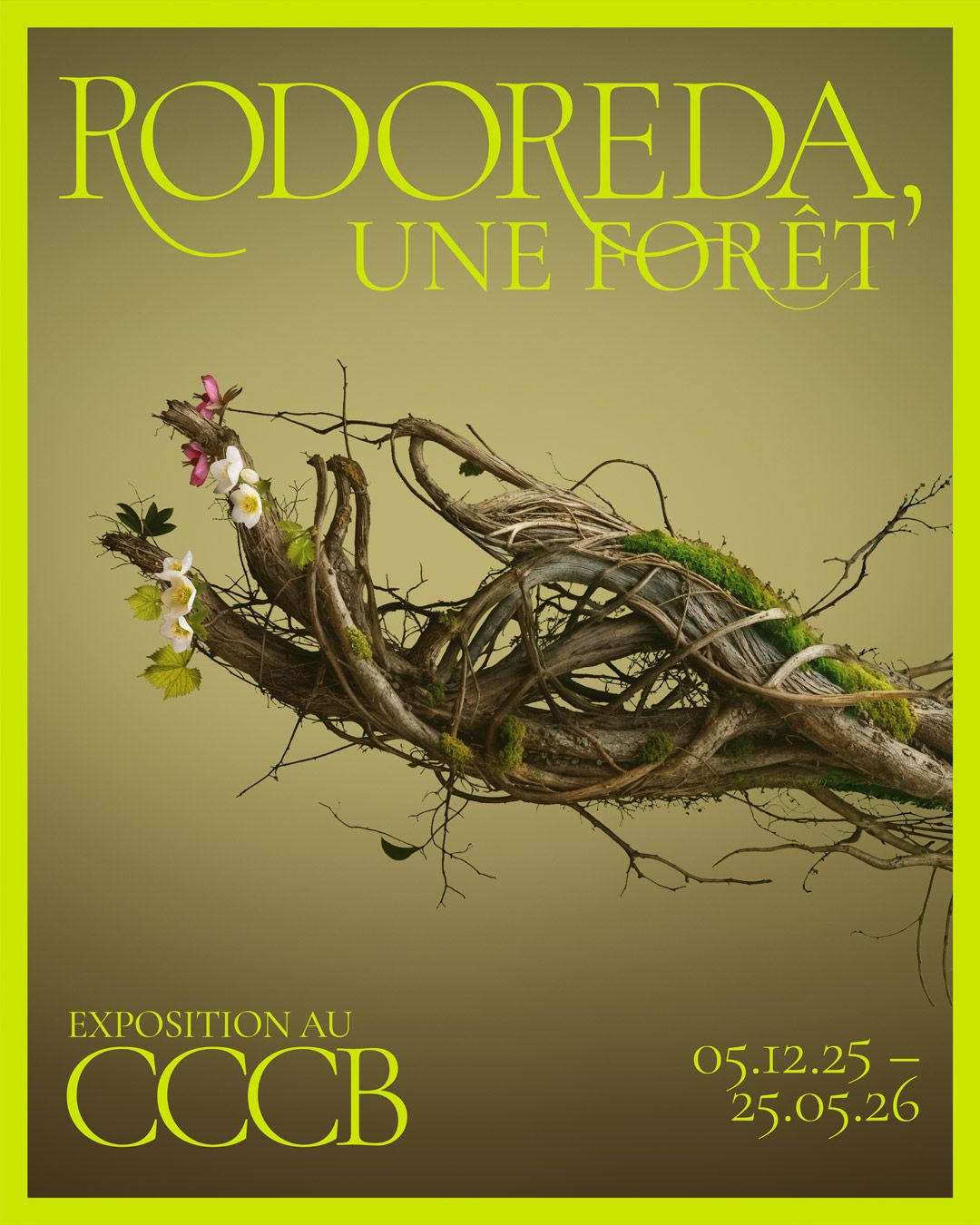 Rodoreda, un bosc (Editorial) · Toni Riera