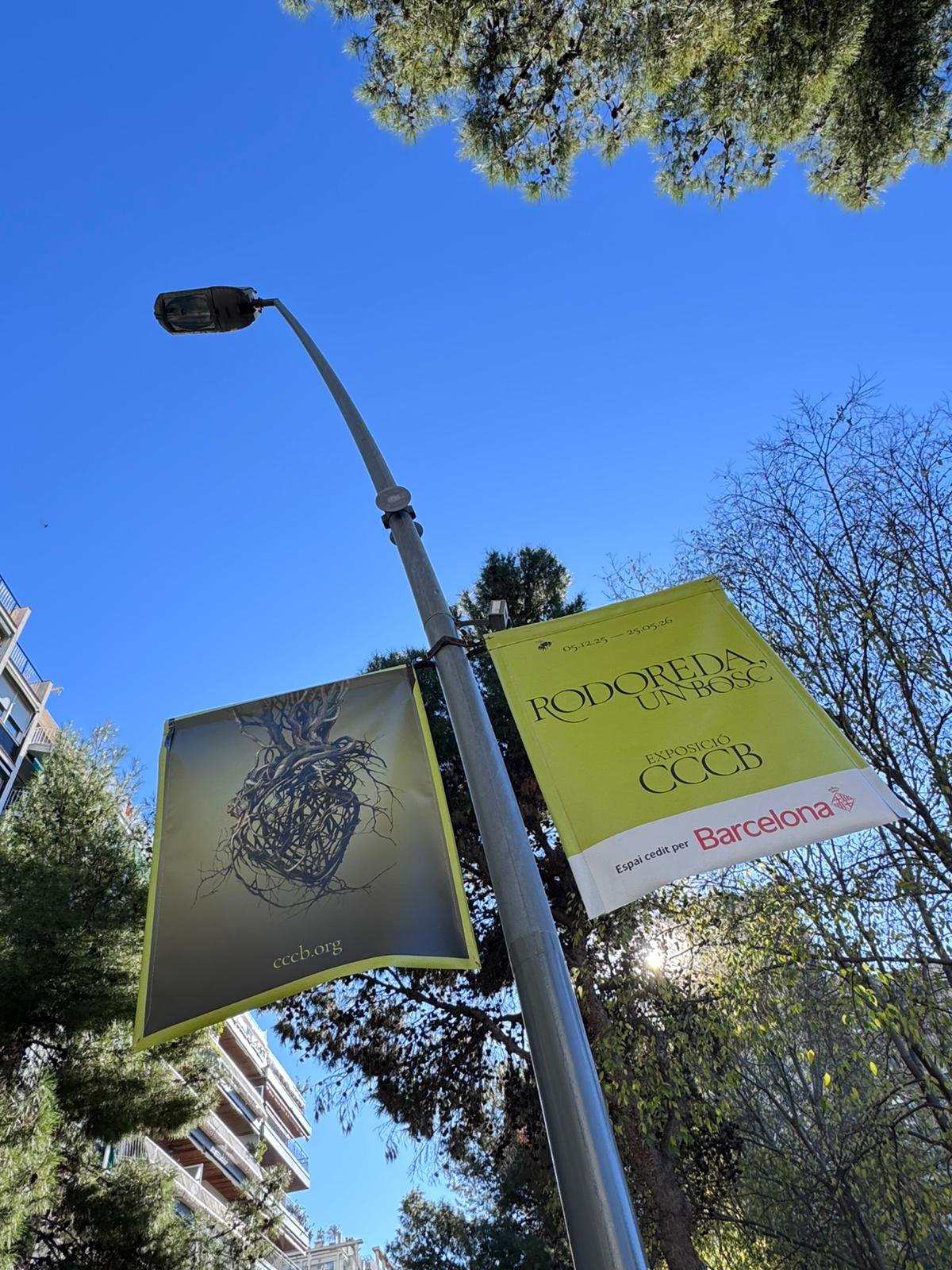 Rodoreda, un bosc (Editorial) · Toni Riera