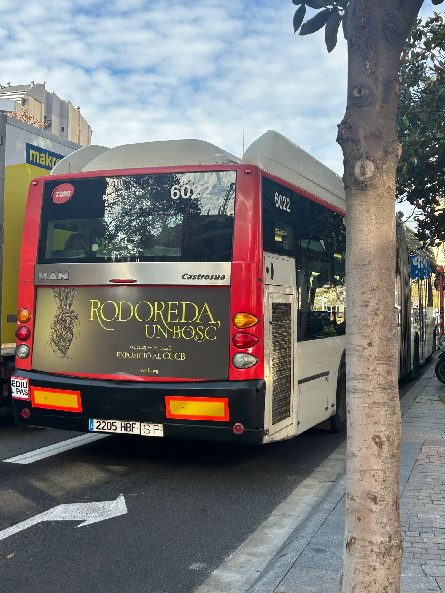 Rodoreda, un bosc (Editorial) · Toni Riera